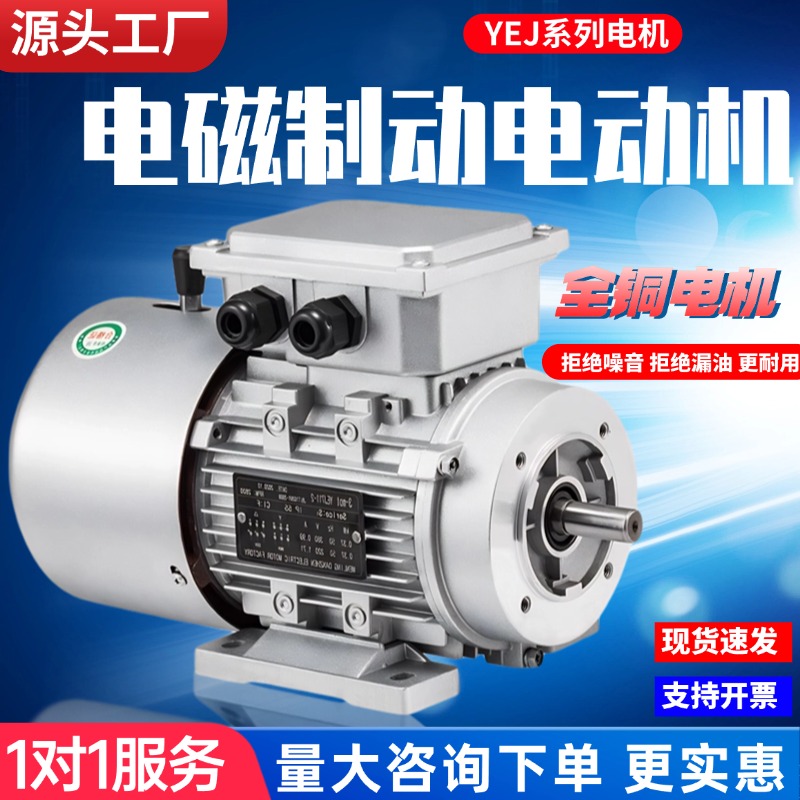 电磁制动刹车三相异步电机电动机