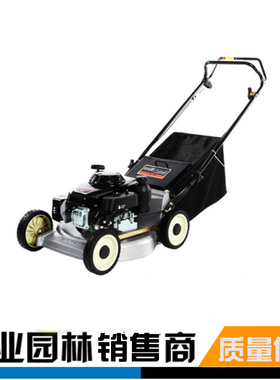 大隆DL196/216自走手推四冲程割草机修剪机剪草机草坪机园林机械