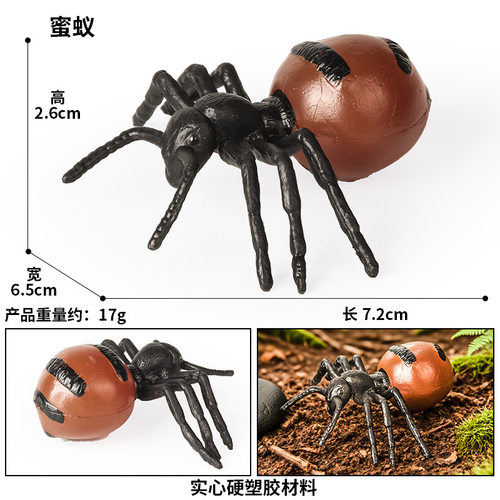 儿童仿真野生动物玩具模型造景摆件礼物火蚁蚂蚁家蚁红蚂蚁蜜罐蚁
