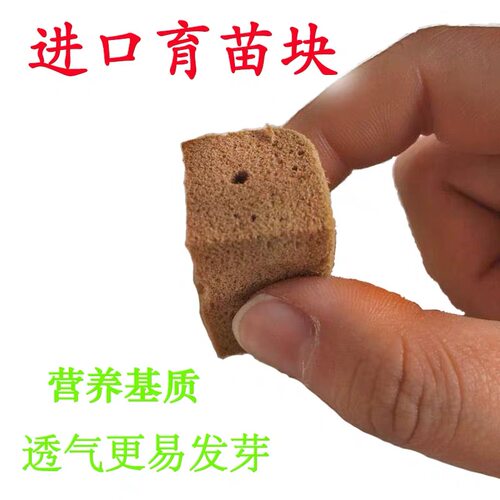 美国进口育苗块扦插棉基质块泡沫棉无地培养种植岩棉条捷菲育苗块
