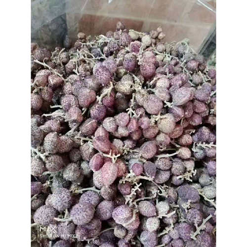 广东清远特产春砂仁干货煲汤