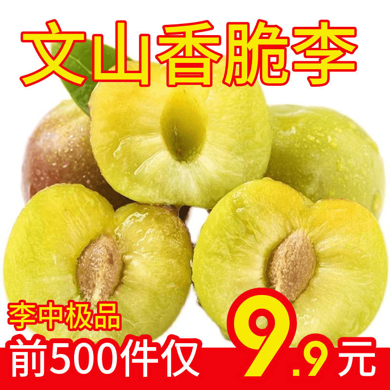 【泡沫箱加冰】正宗云南文山香脆李子特大果脆甜新鲜孕妇当季水果