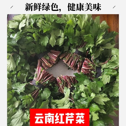 云南食用新鲜菜现珍珠农家鸭脚艾叶草农家种植采摘泡沫箱冰袋