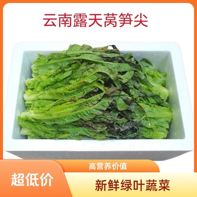 【莴笋尖】新鲜青笋蔬菜青菜农家自种火锅当季凤尾时令露天一整箱