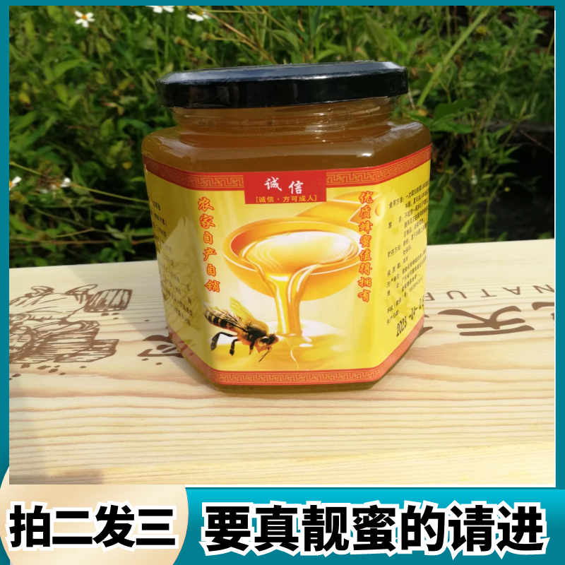 鸭脚木蜂冬蜜糖纯正天然农家自产龙眼荔枝百花蜜广东河源零添加