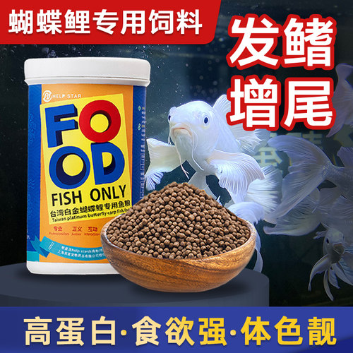 帮星蝴蝶鲤专用饲料高蛋白