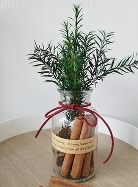 森系肉桂生财窄口大肚幸运聚财玻璃瓶香薰ins床头摆件小红薯同款