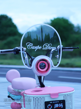 电瓶车挡风板电动自行车前风挡适用爱玛元宇宙小金豆复古装饰风屏