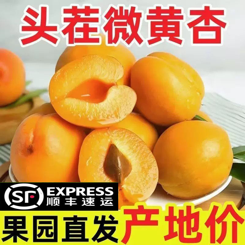 顺丰现摘大黄杏水果新鲜凯特大黄杏当季新鲜孕妇酸脆水果整箱包邮