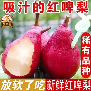 山西运城红啤梨新鲜现摘孕妇水果软糯多汁应季水果新鲜软硬太婆梨
