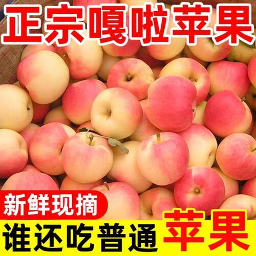 山西头茬嘎啦粉面苹果