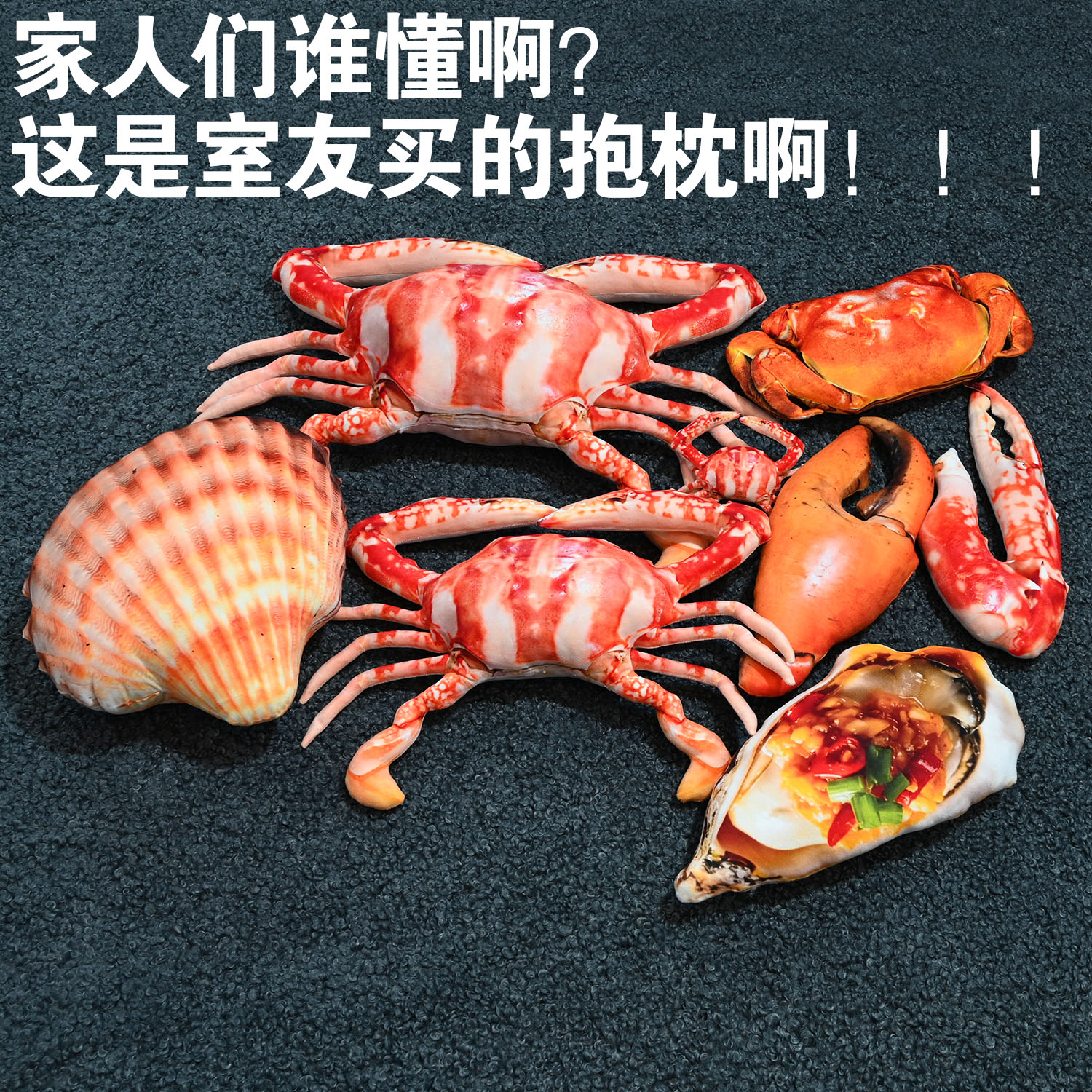 乔乐伊可爱仿真海鲜毛绒抱枕图片