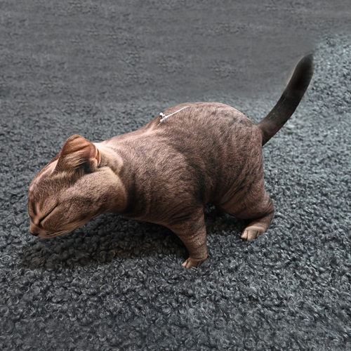 JOLOE原创可爱蓝猫毛绒抱枕玩偶