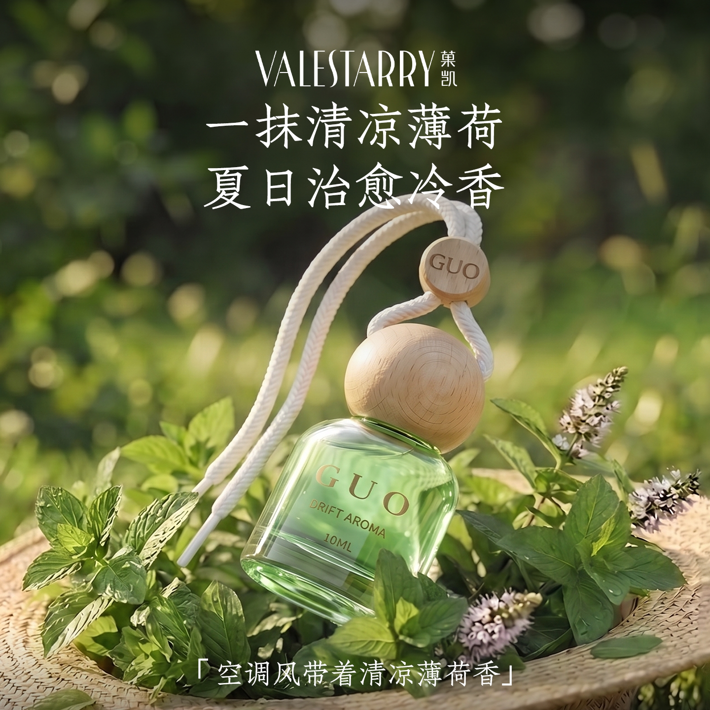 夏季必入!暴晒后上车，清凉降温图片