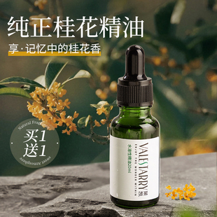 桂花香薰精油加湿器专用水溶性植物香氛扩香石家用卧室内持久香水