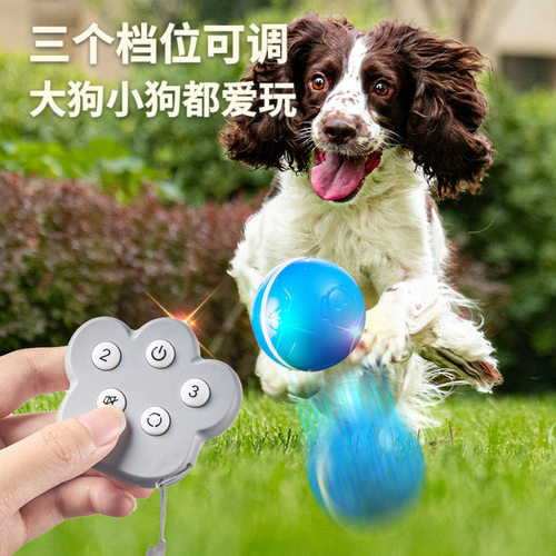 遥控宠物跳跳球金毛泰迪宠物狗专用追逐逗宠逗狗耐咬训练狗狗玩具