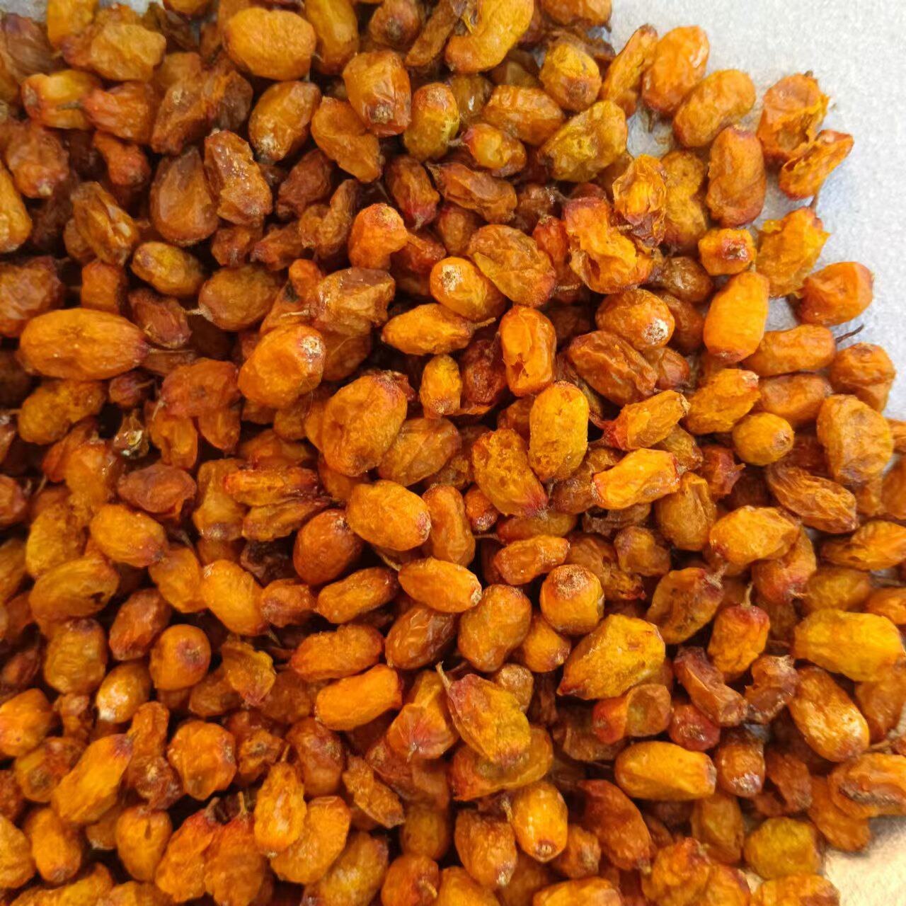 新疆沙棘茶状元黄圆果大干新疆沙棘茶粉鲜果阿勒泰种植大果中药材