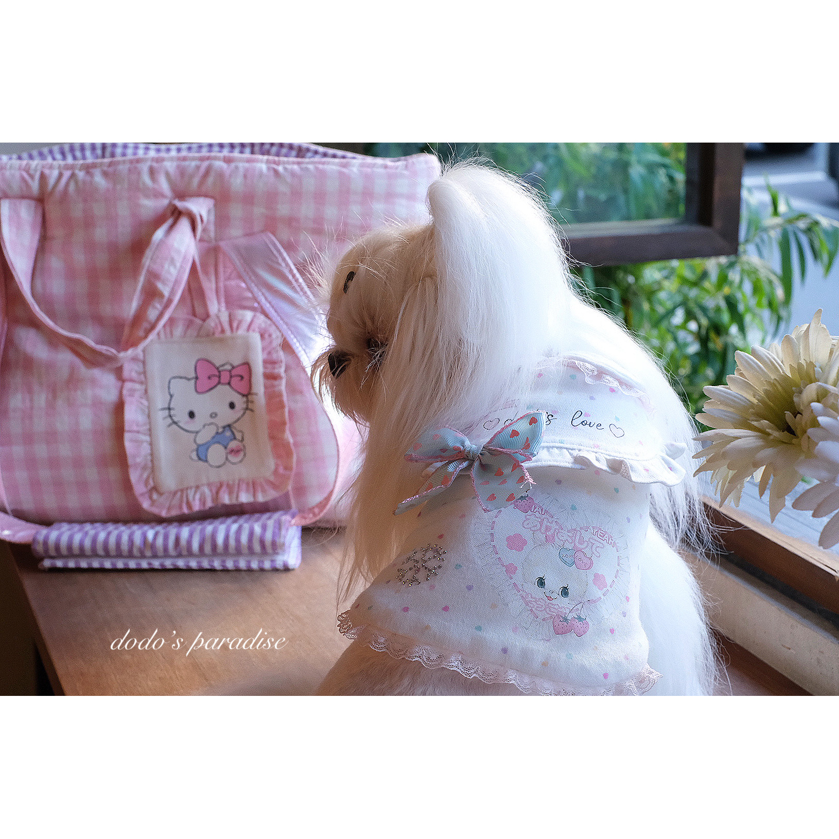 2024新款秋冬宠物猫狗衣服小型犬泰迪约克夏复古日系波点裙家居服