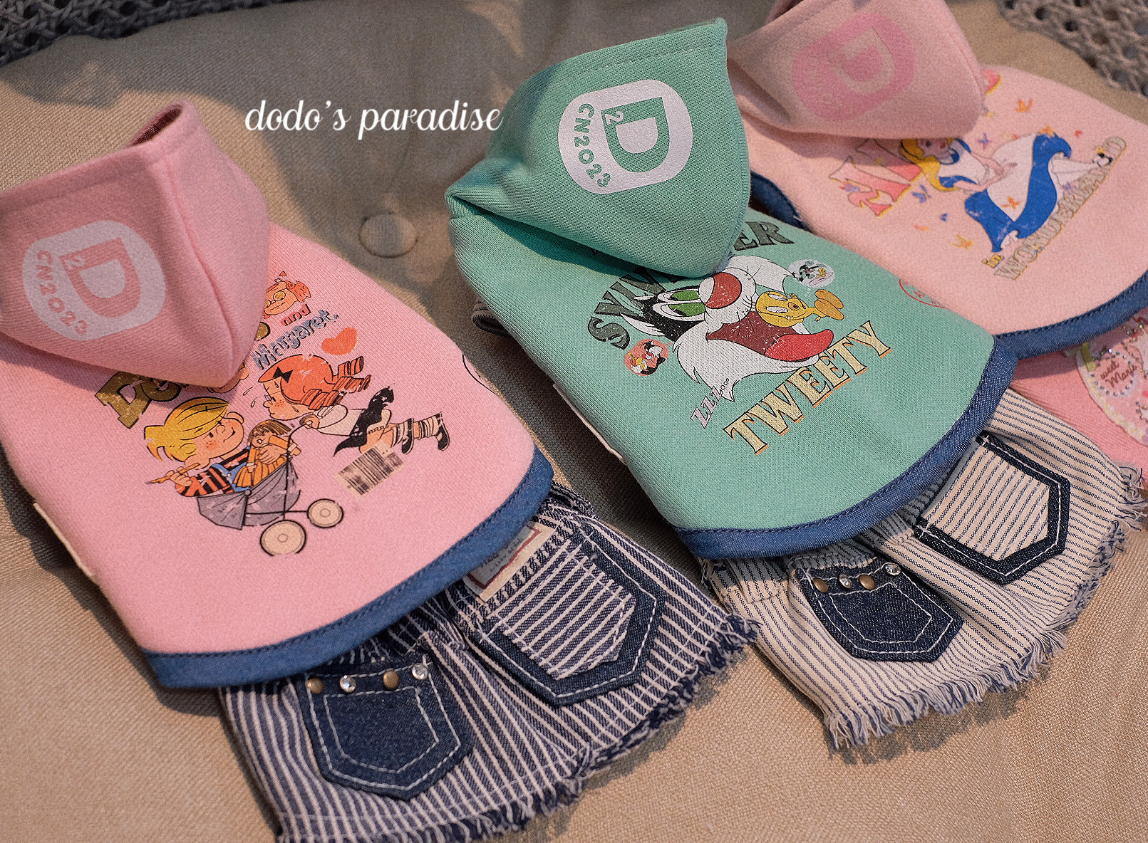 宠物狗泰迪约克夏马尔济斯