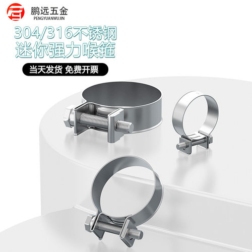 304不锈钢迷你强力喉箍