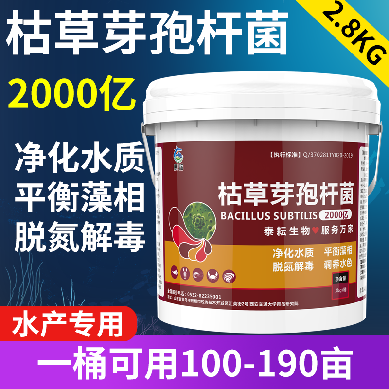 枯草芽孢杆菌菌种粉水产养殖专用原粉鱼塘肥水虾蟹池塘水质净化粉