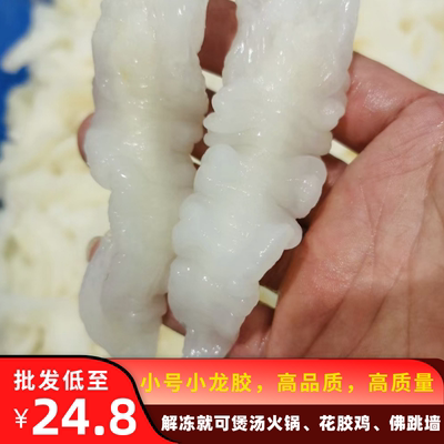 即食花胶水发小龙胶新鲜冷冻鱼肚小花胶牛奶干货酒店佛跳墙特色菜