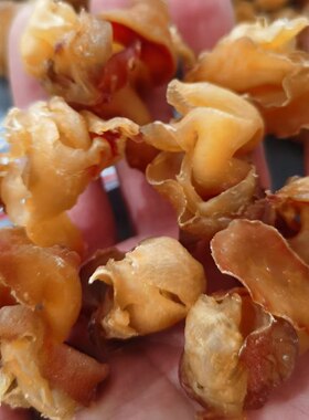 足干红螺肉干货港式煲汤食材1斤70头红螺肉响螺头香港汤包响螺片