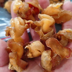 足干红螺肉干货港式煲汤食材1斤70头红螺肉响螺头香港汤包响螺片