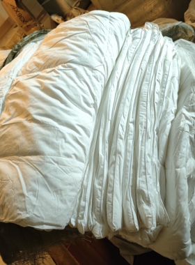 白色被芯1.2*2m 4.5斤左右 床单软垫浴巾全新未用纯棉面料