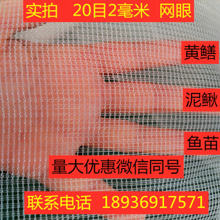 定做水产养殖网箱网布10目20目拉网渔网围网青蛙龙虾防逃网尼龙网