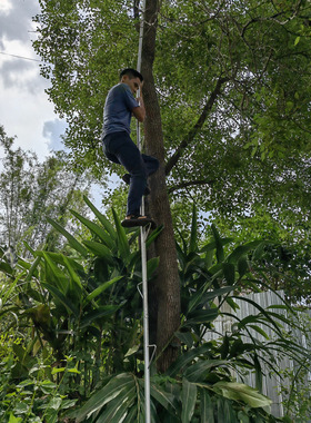 蜂友牌轻便铝合金爬树伸缩梯自由调高度携带方便10.5高可加装高度