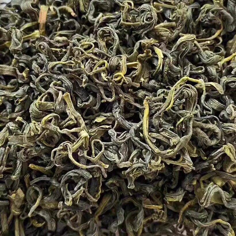 日照绿茶茶叶批发市场新品尝鲜图片