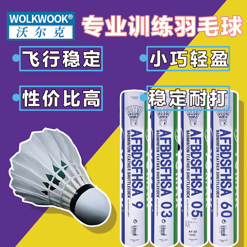 羽毛球正品12只装耐打王黑白羽室外训练比赛专用防风发光尼龙球