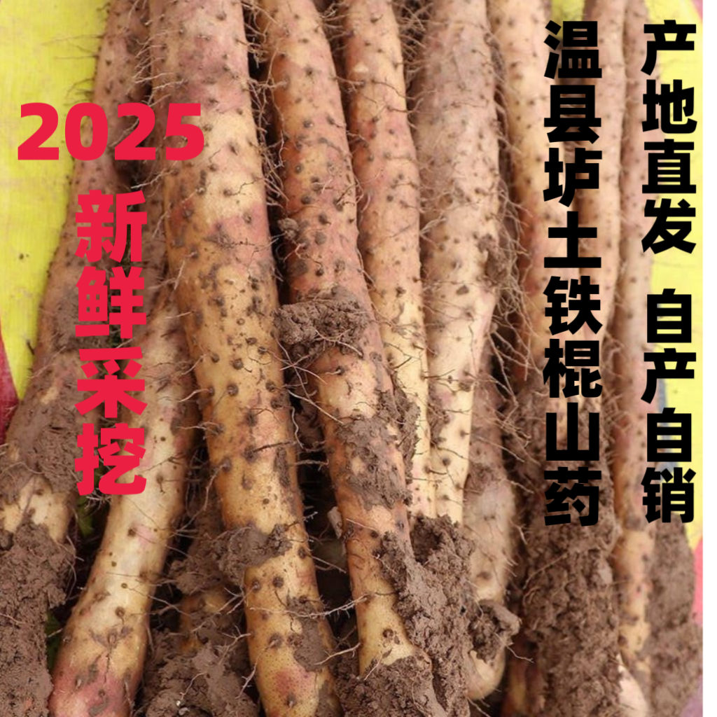 河南温县铁棍山药焦作垆土铁棍山药淮山药精挑有药性的新鲜怀山药