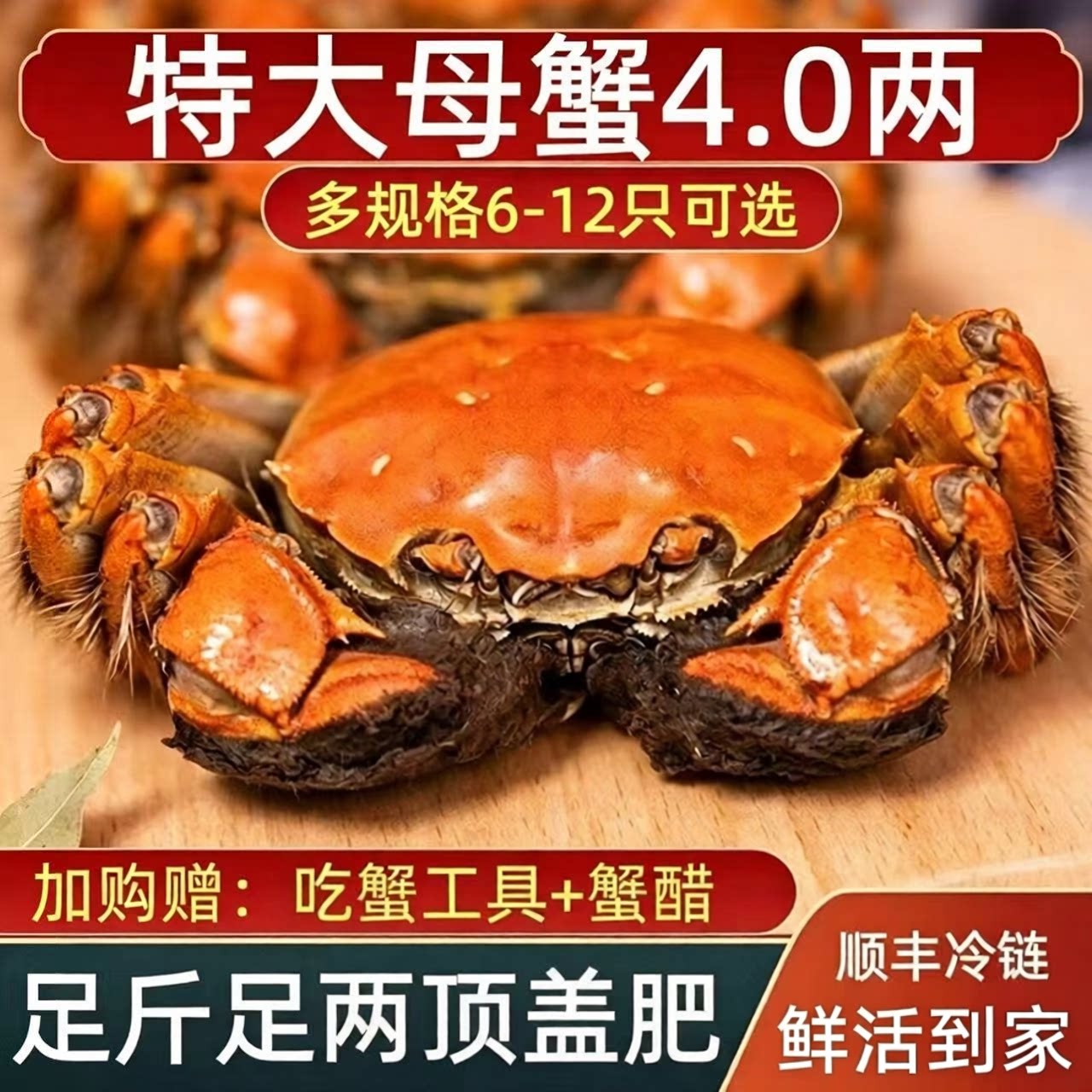 活蟹螃蟹鲜活大闸蟹现货特大公蟹5.0两母蟹4.0两海鲜水产礼盒装