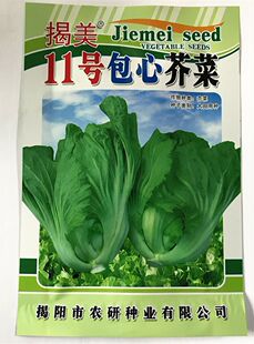 芥菜种子包心芥菜 酸菜种子 原厂彩袋包装10g 农业大田阳台盆栽