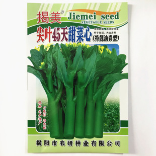高产菜心种子，柳叶尖叶油菜心，45天尖叶菜心 装蔬菜种子