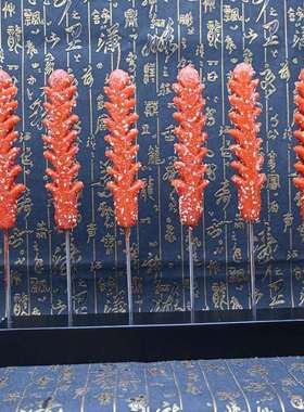 仿真淀粉肠模型开花肠模具炸香肠肉肠一口肠薯塔黄金脆皮烤肠样品