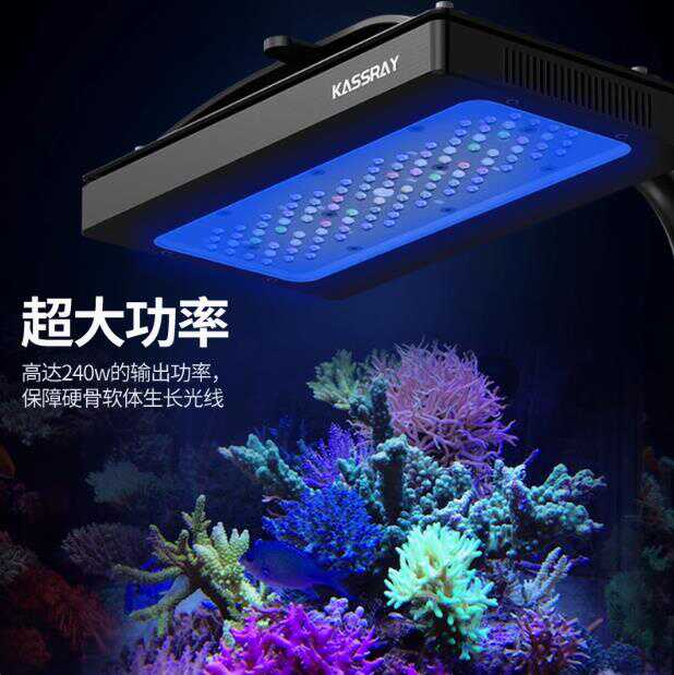 大功率正售海水珊瑚灯KASSRAY