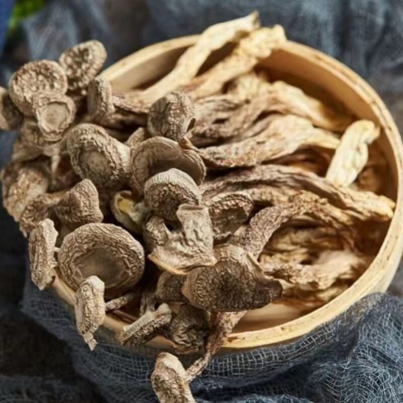 鹿茸菇干货鹿茸菌特级新鲜图片
