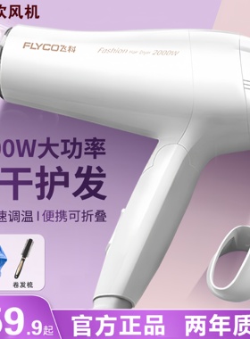 飞科吹风机家用负离子护发可折叠学生宿舍静音速干电吹风筒FH6232