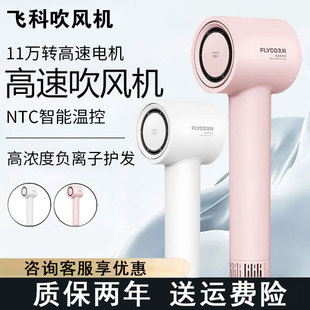 飛科吹風(fēng)機(jī)家用負(fù)離子護(hù)發(fā)速干大功率電吹風(fēng)筒高速靜音便攜FH6370