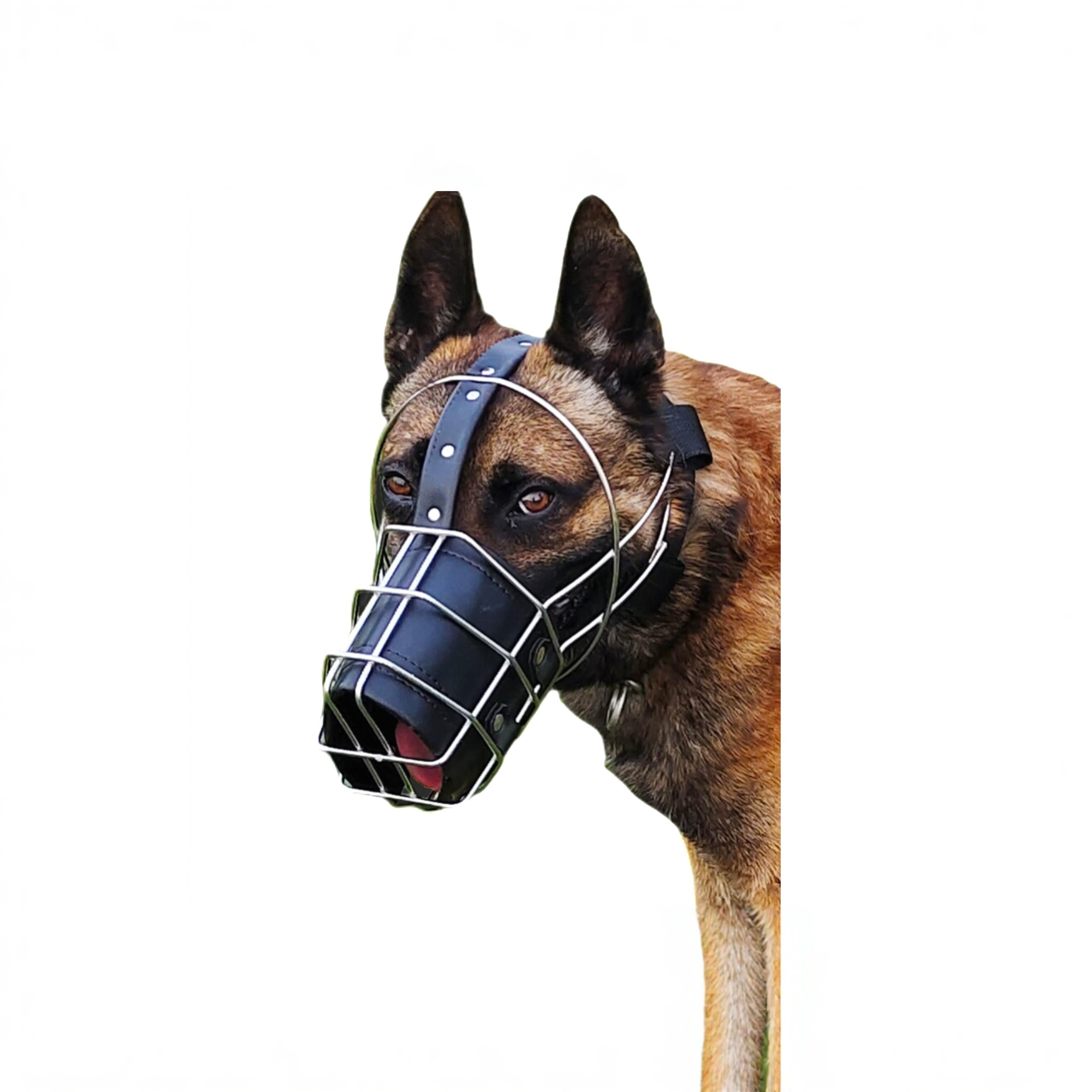 不锈钢中大型犬防咬嘴套