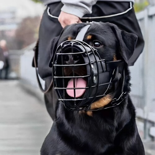 黑金刚不锈钢口笼罩防咬犬狗嘴套