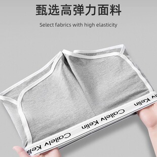 潮流纯色爆款女士短裤夏季新款运动休闲健身户外裤运动风家居短裤