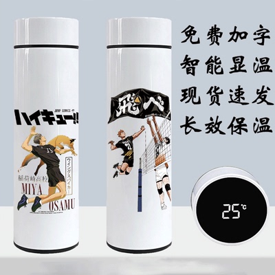 2024排球少年Haikuu吸管
