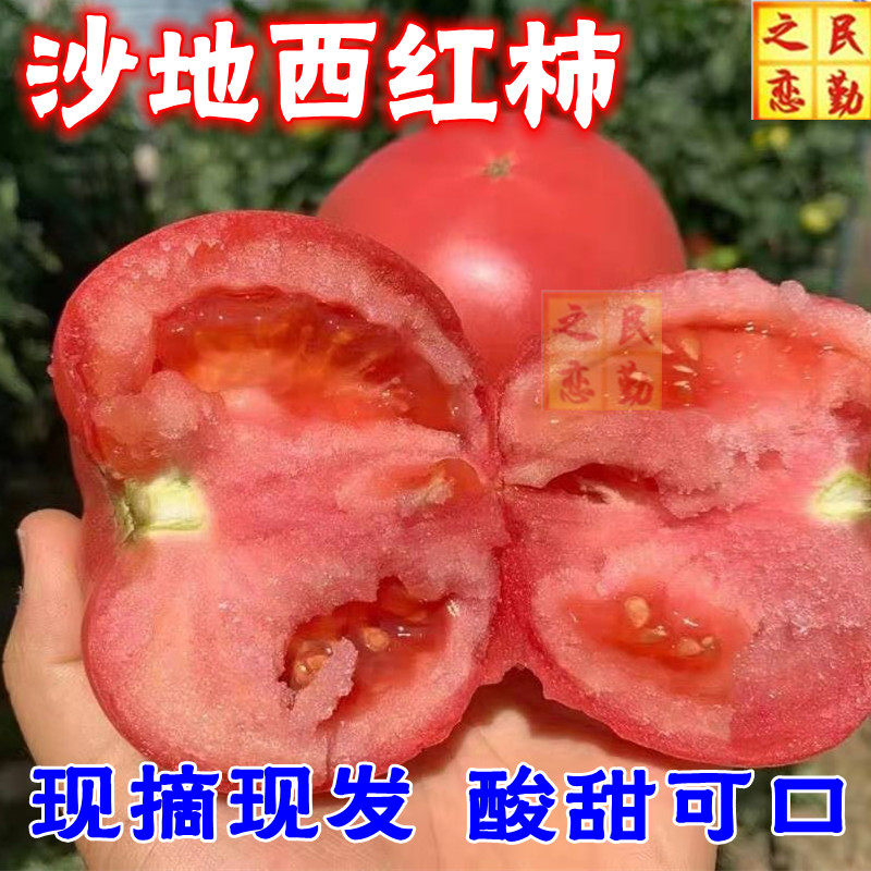 顺丰包邮沙漠沙瓤西红柿番茄精选甘肃民勤新鲜蔬菜现摘现发可即食,水产肉类/新鲜蔬果/熟食,番茄,淘宝优惠券,粉丝福利购,淘宝优惠卷