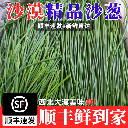 新鲜沙葱酒店餐厅饭店菜店食材西北特色蔬菜饺子馅料凉菜顺丰包邮