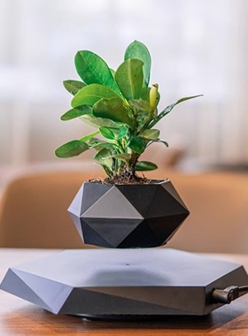 磁悬浮盆栽花盆空中创意盆景植物花卉奇特ins风家居办公摆件绿植