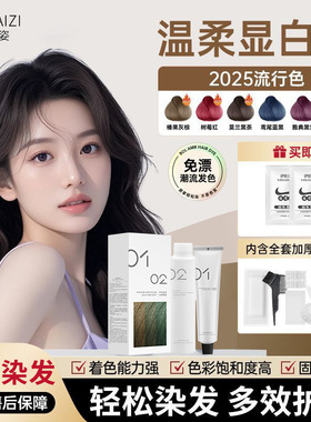 诗奈姿 蓝黑茶紫色染发剂盖白发2025流行色自己在家染显白染发膏